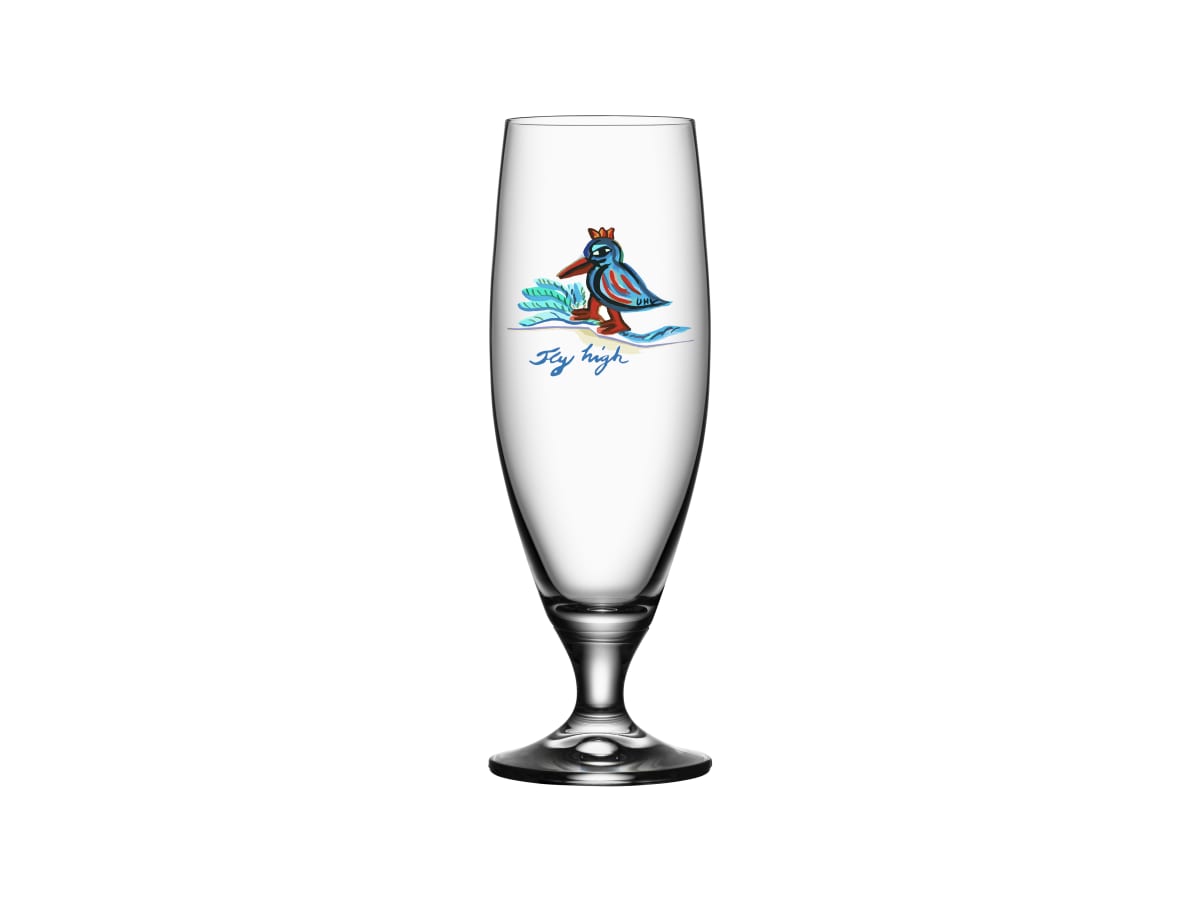 Friendship beer fly high 50cl