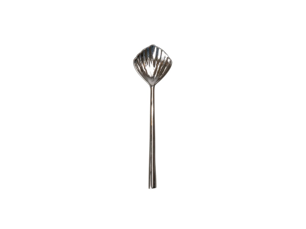 Spoon Shell 