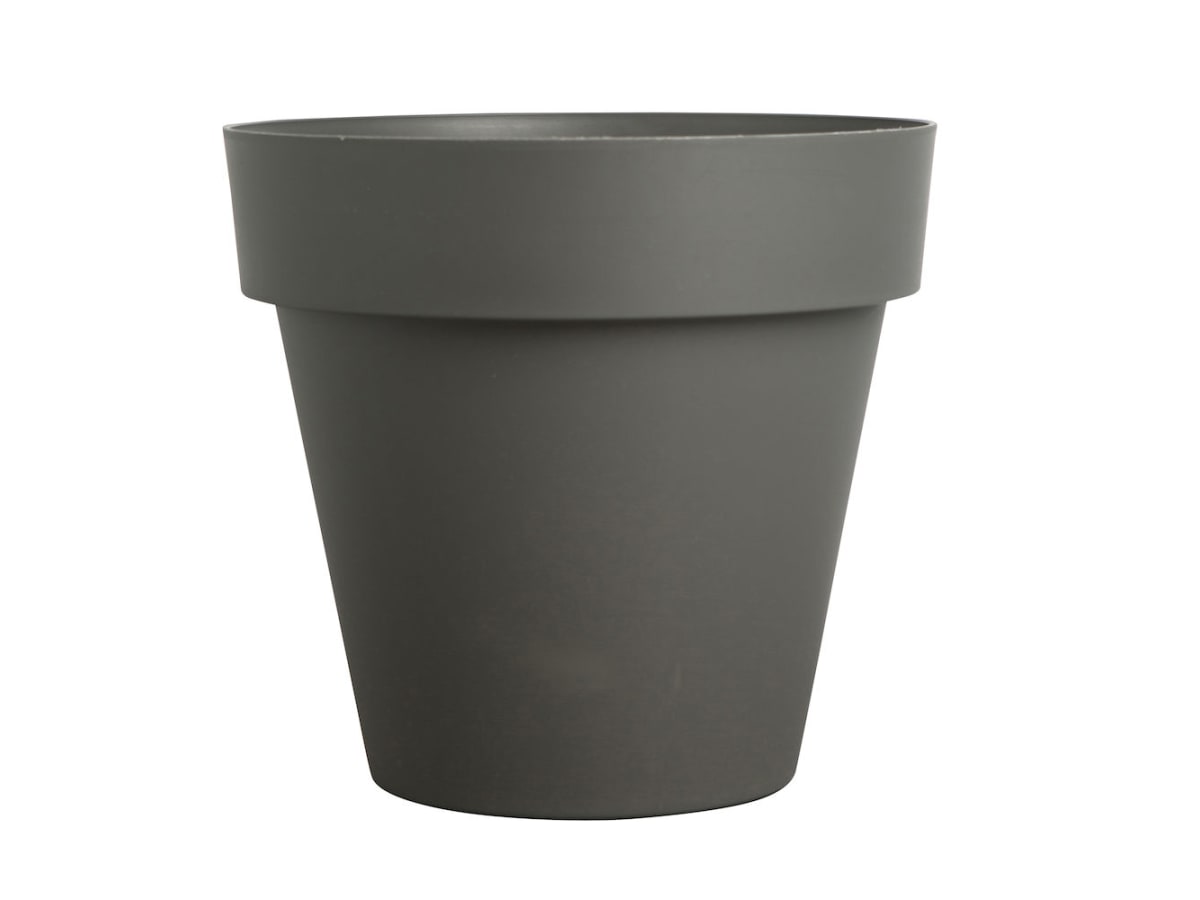Pot Brixton L
