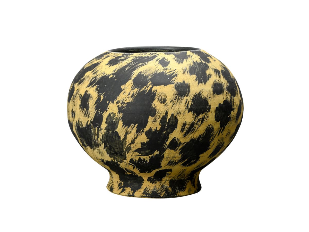 Vase Safari 