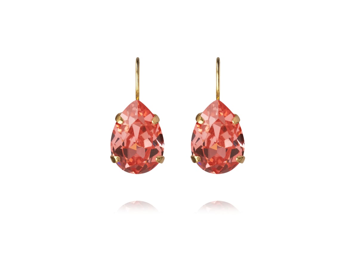 Mini Drop Clasp Earrings
