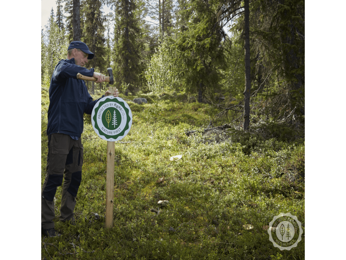 Boreal Mix - Ett svenskt skogbevarande projekt 