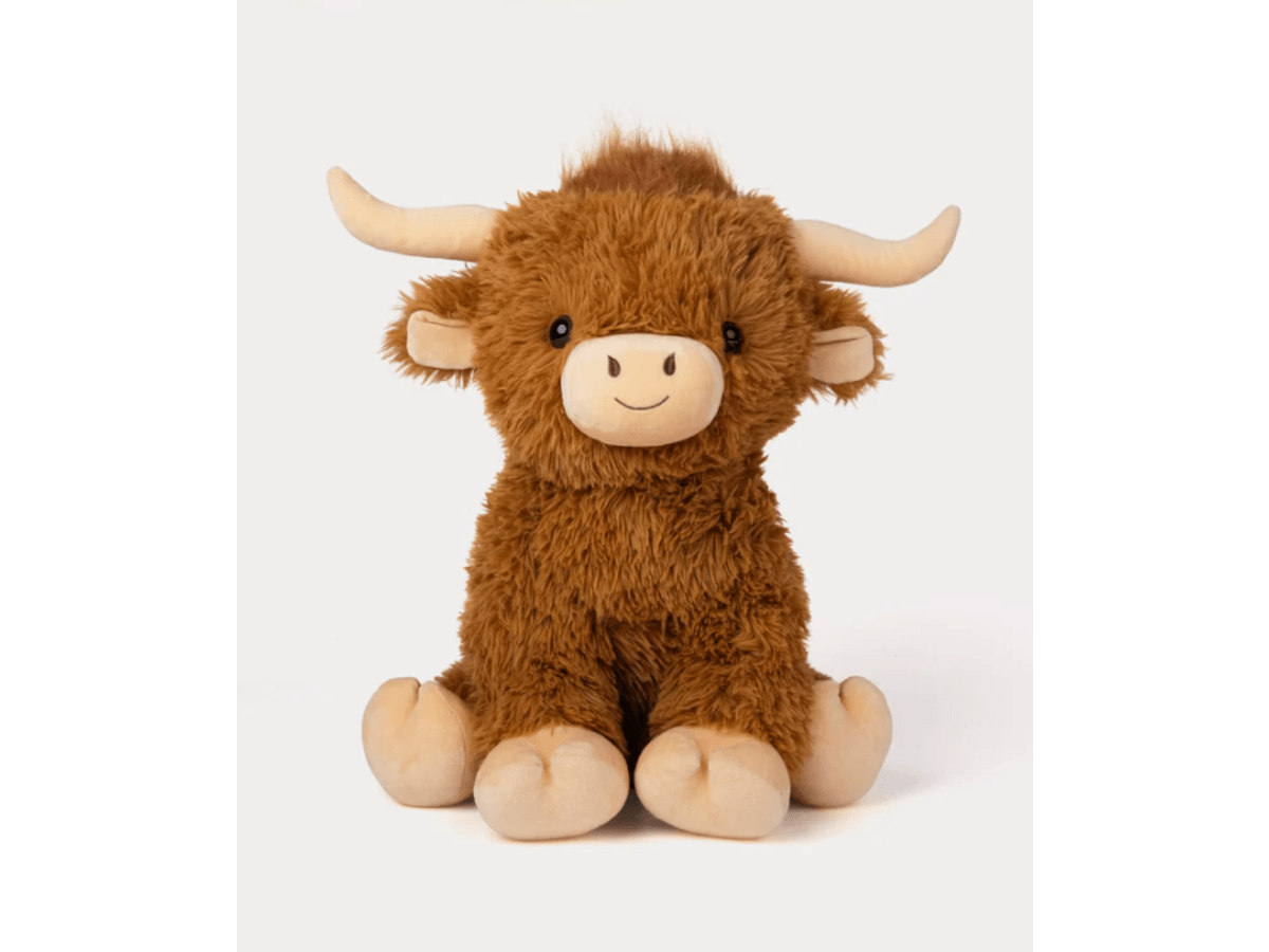 Highland Cow