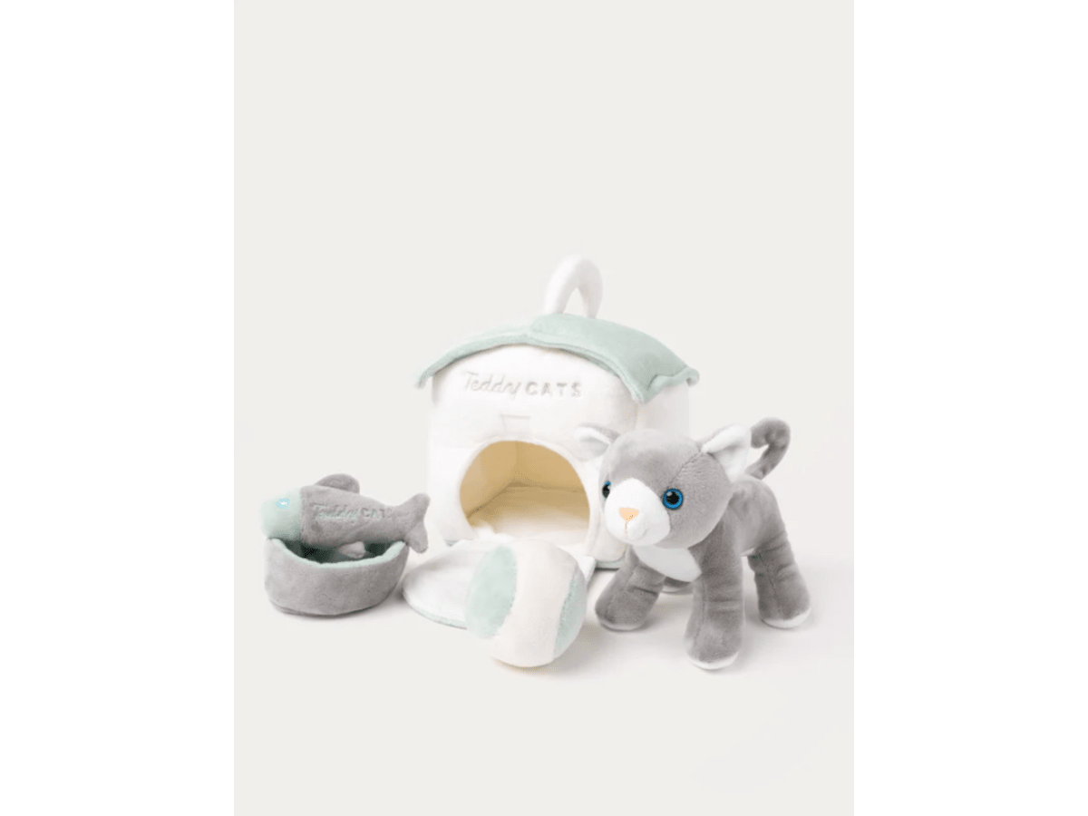 Teddy Cats lekset