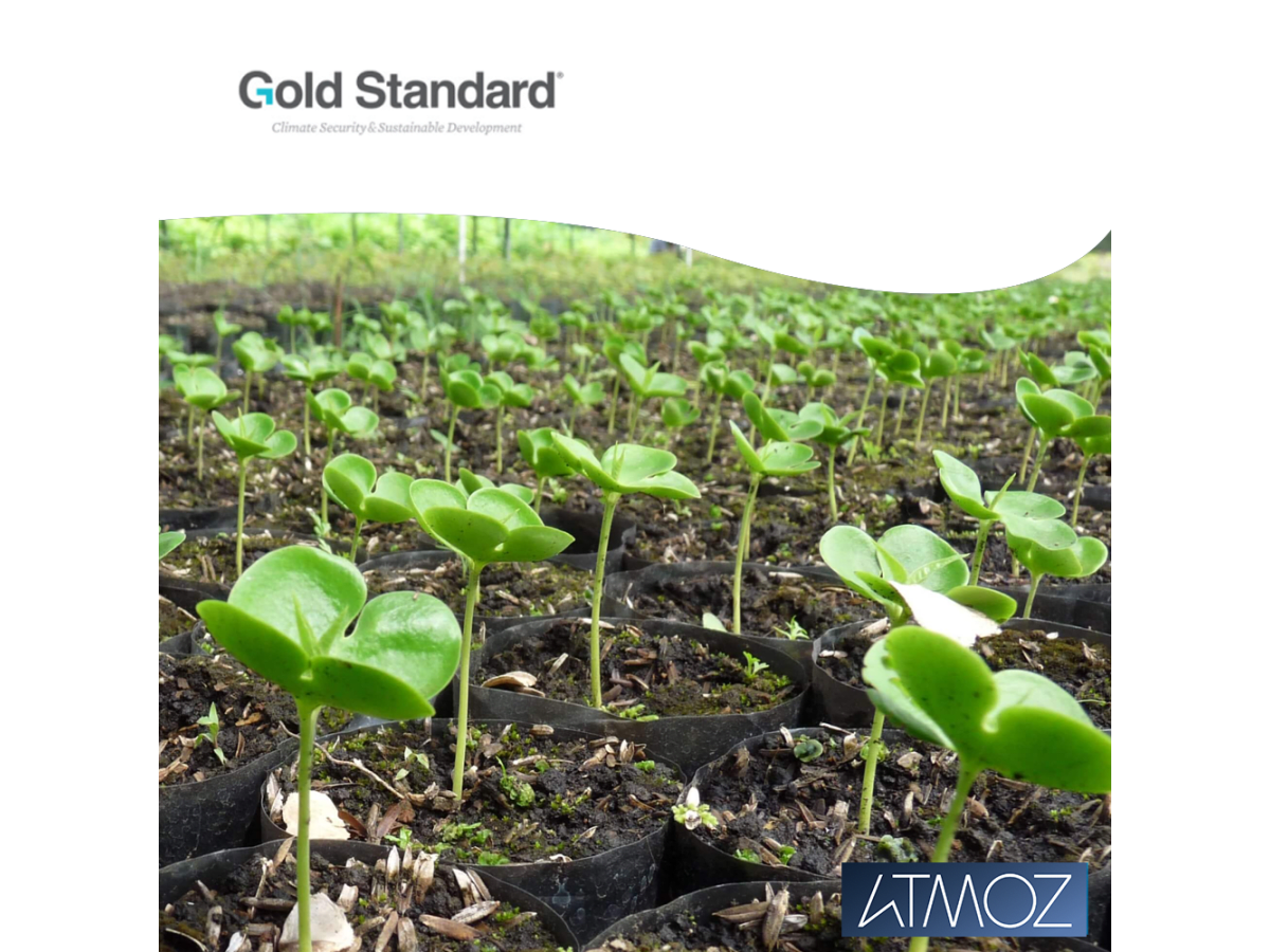 Trädplantering i Panama