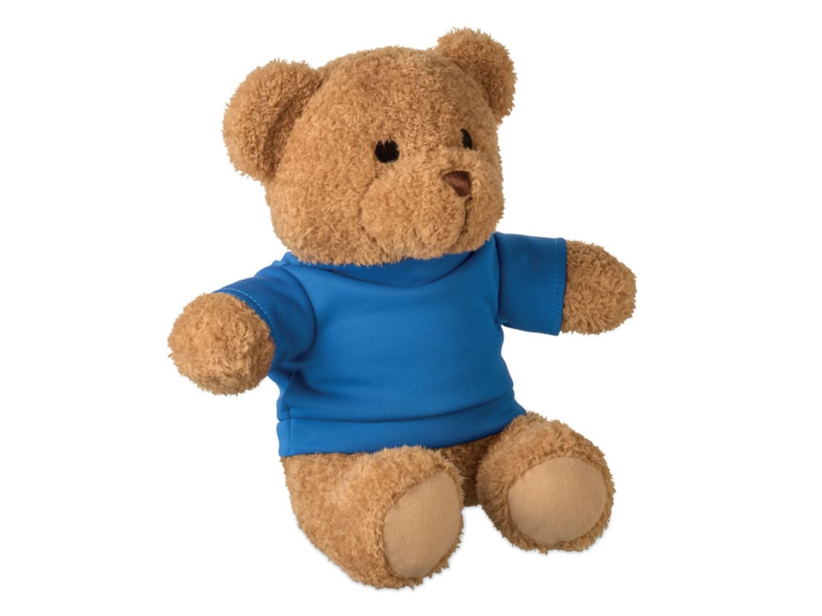 Nallebjörn med t-shirt 23cm