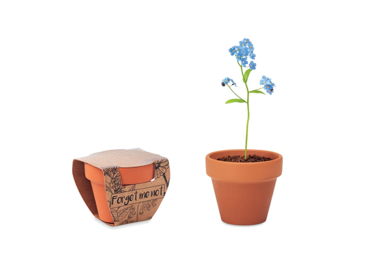 Terracotta skål 'forget me not'