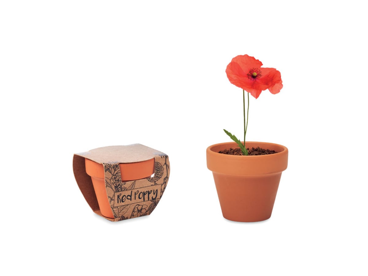 Terracotta skål 'poppy'