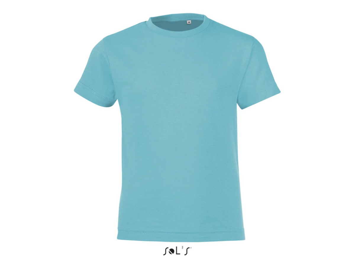 REGENT F BARN T-SHIRT 150g