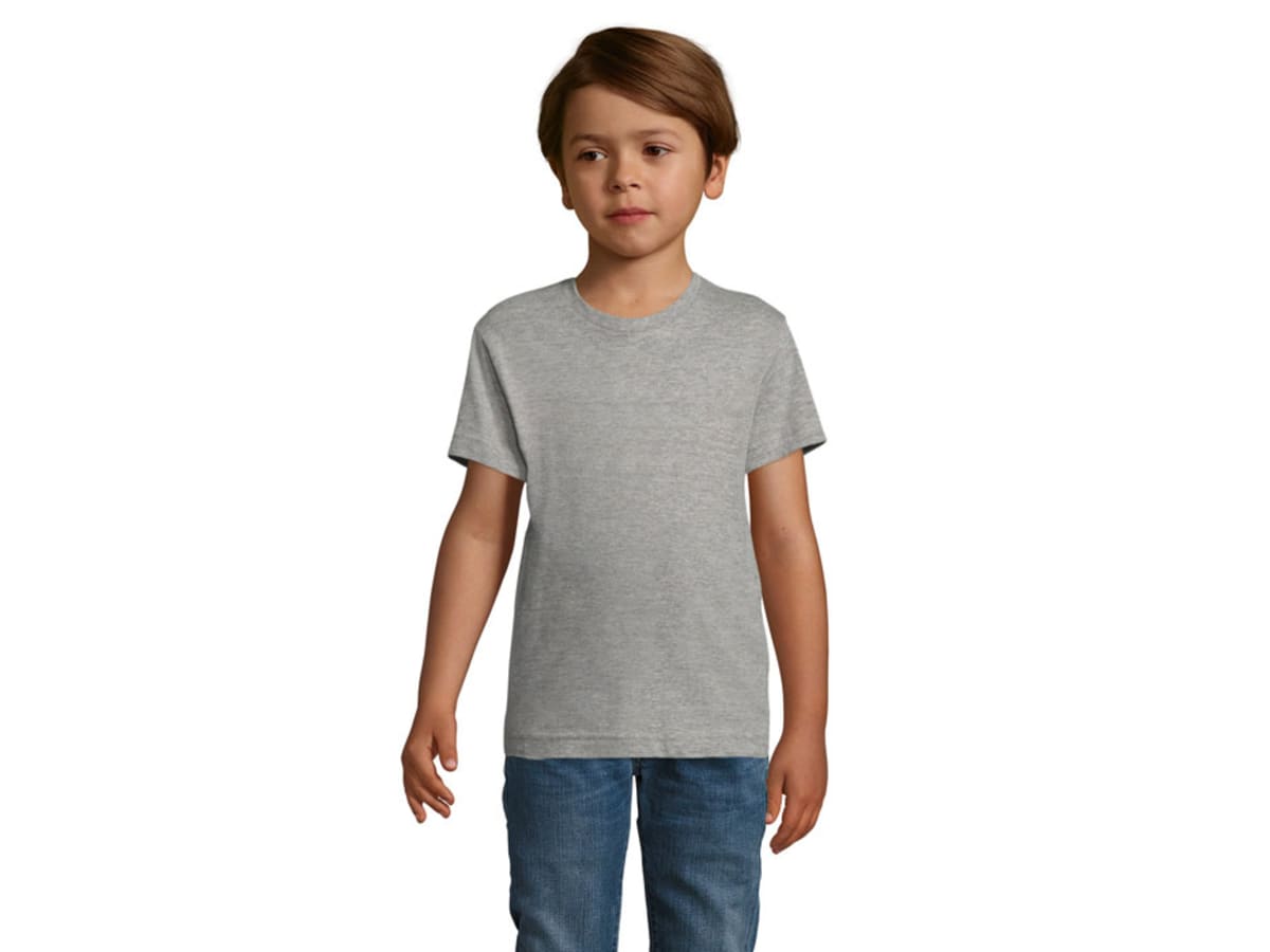 REGENT F BARN T-SHIRT 150g
