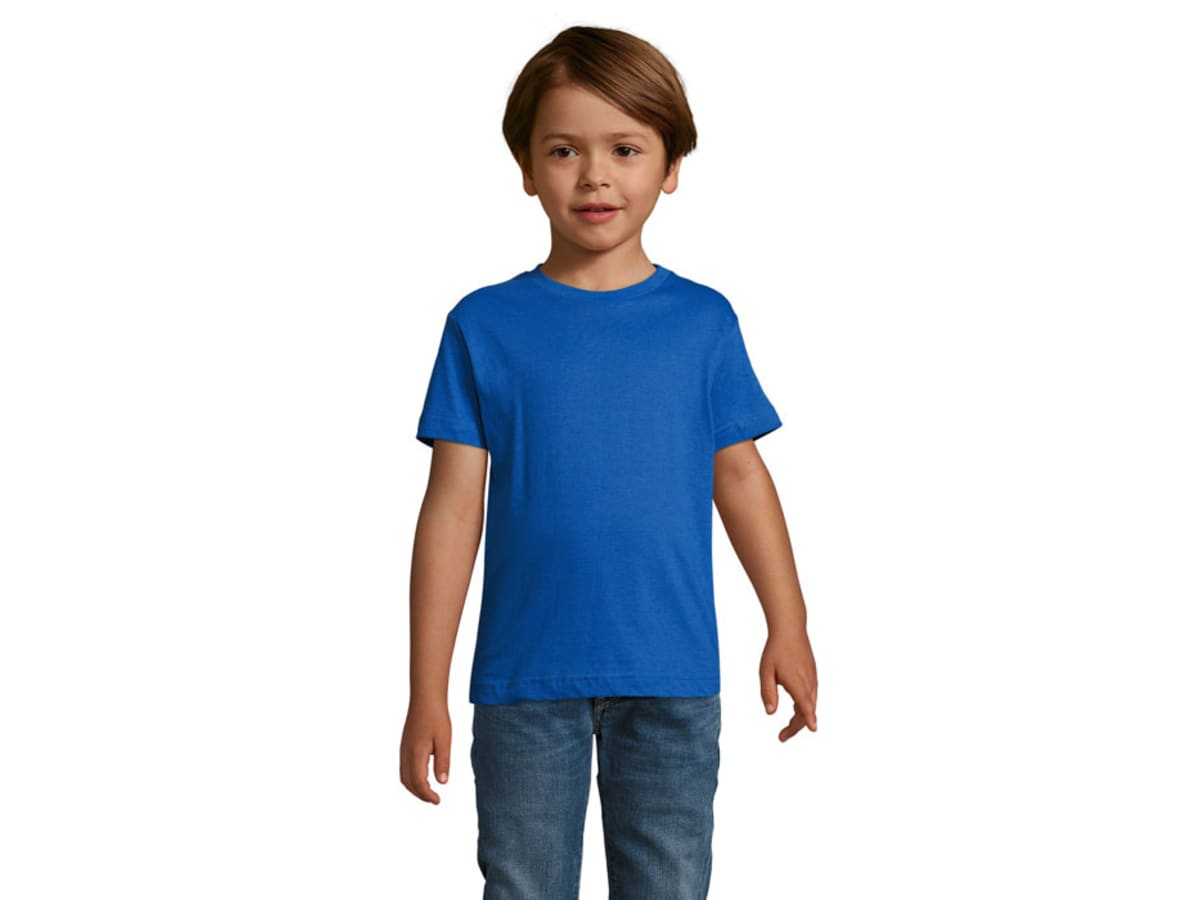 REGENT F BARN T-SHIRT 150g