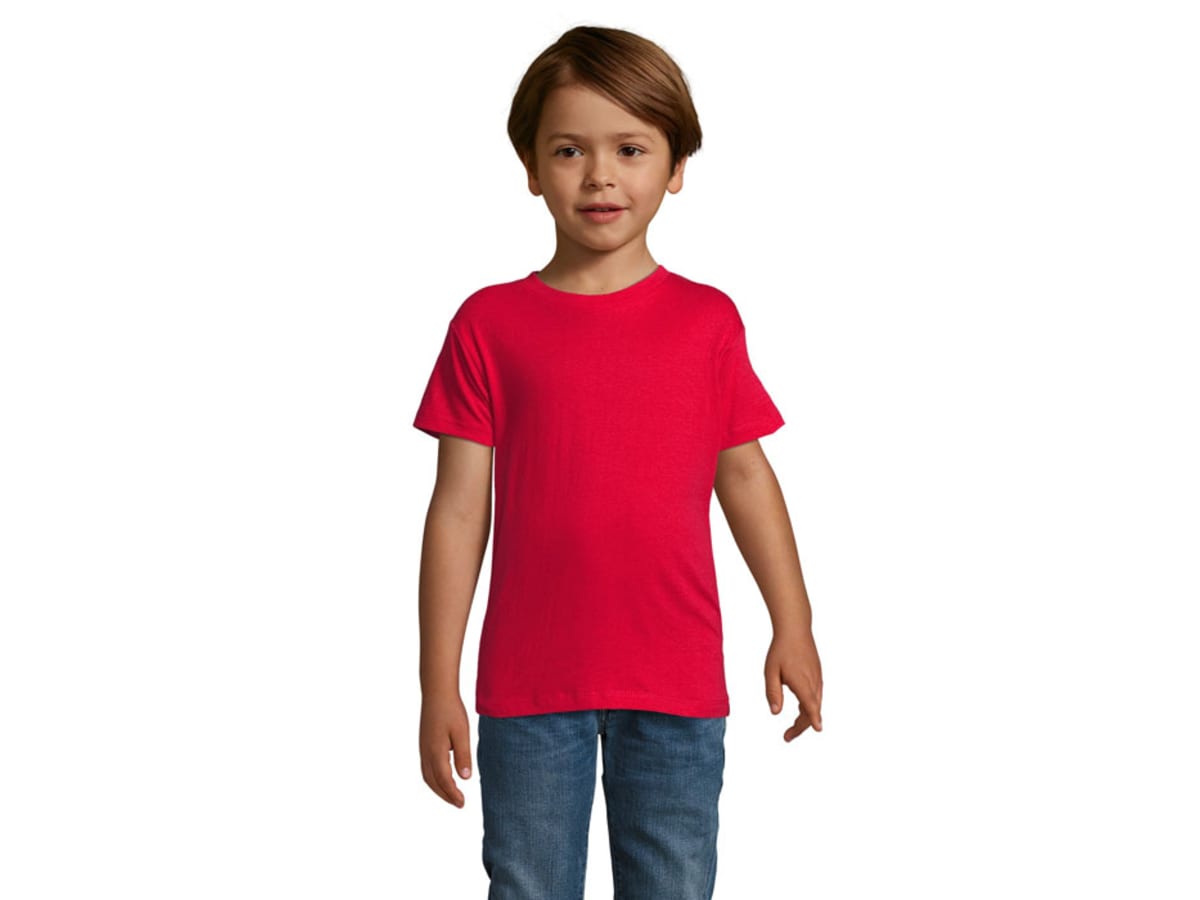 REGENT F BARN T-SHIRT 150g