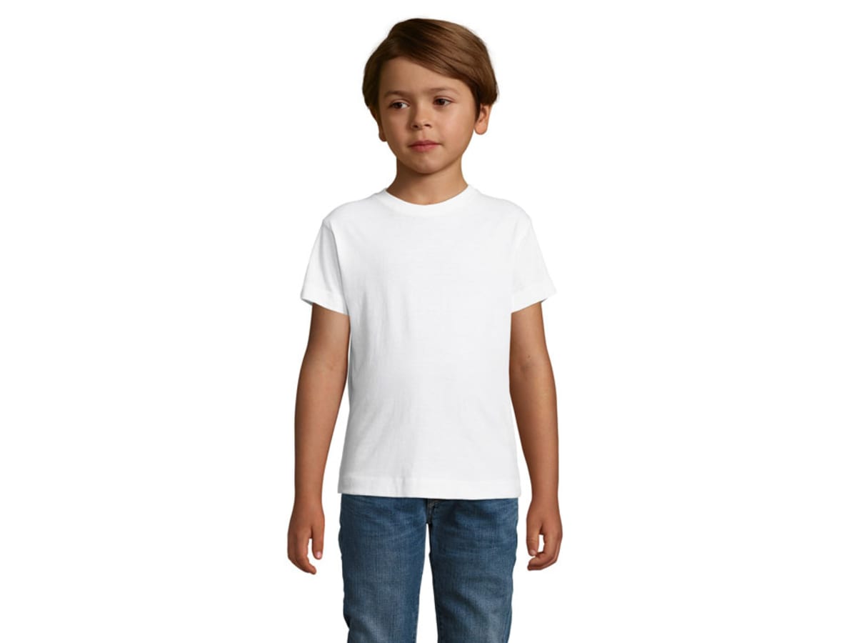 REGENT F BARN T-SHIRT 150g