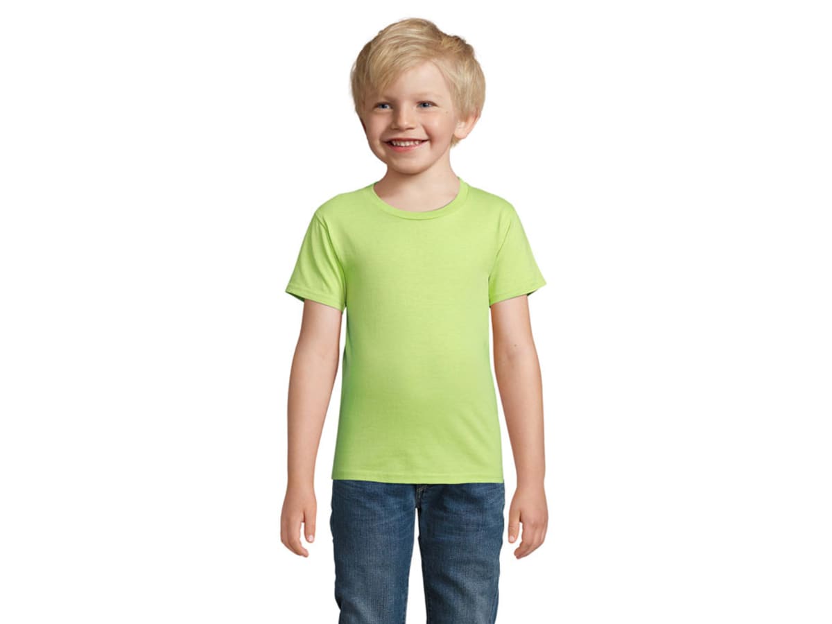 PIONEER BARN T-SHIRTORGANIC