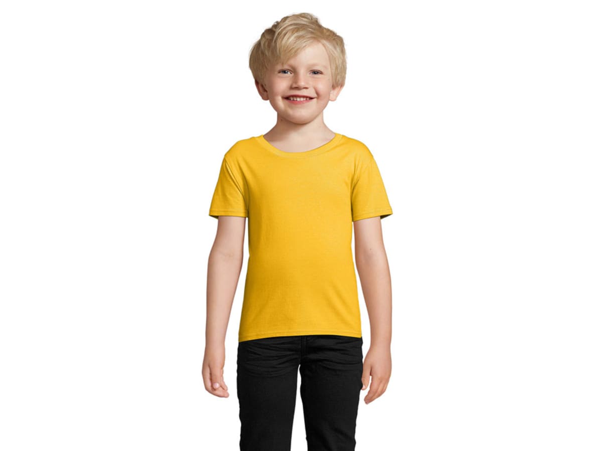 PIONEER BARN T-SHIRTORGANIC