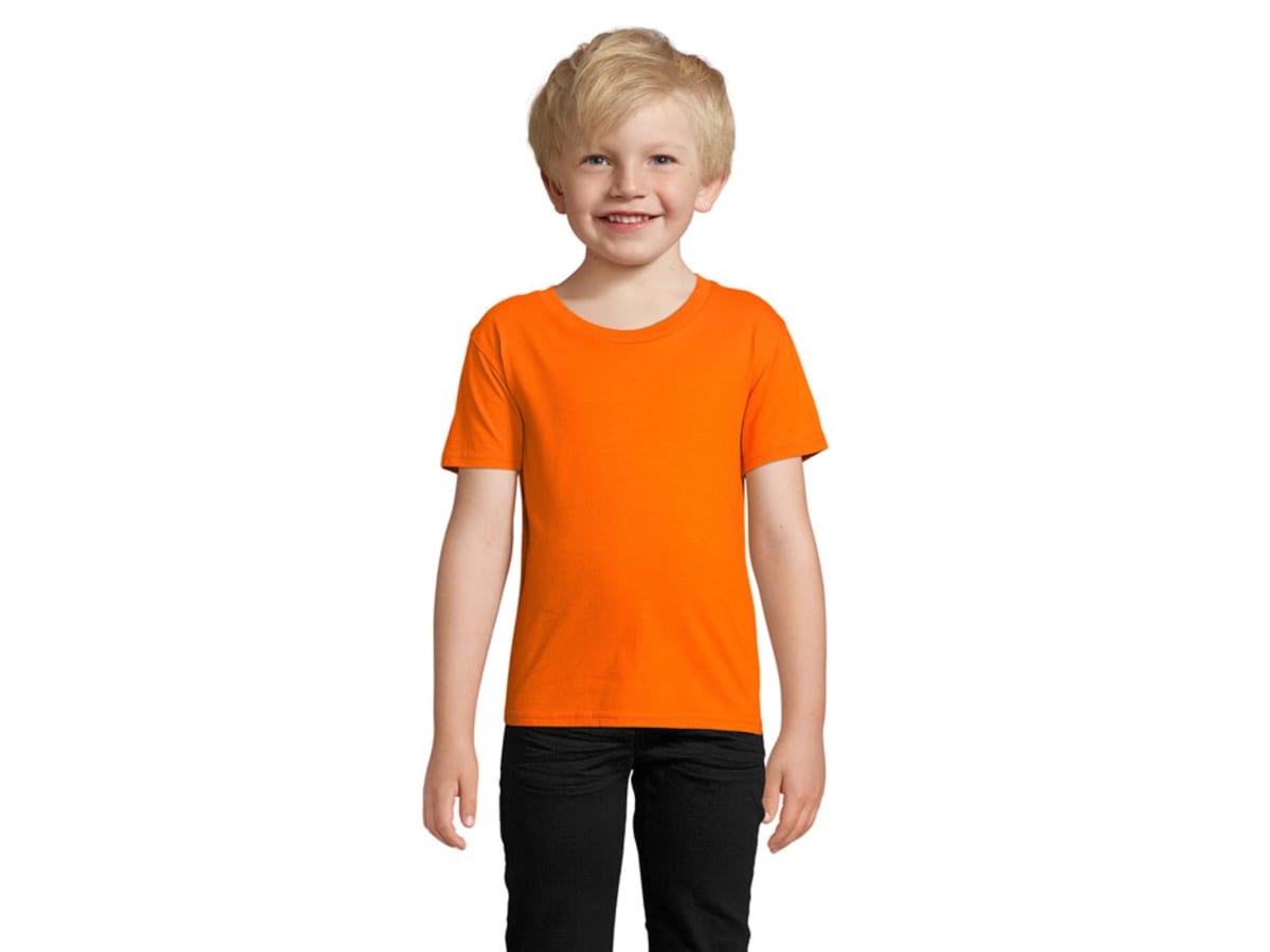 PIONEER BARN T-SHIRTORGANIC