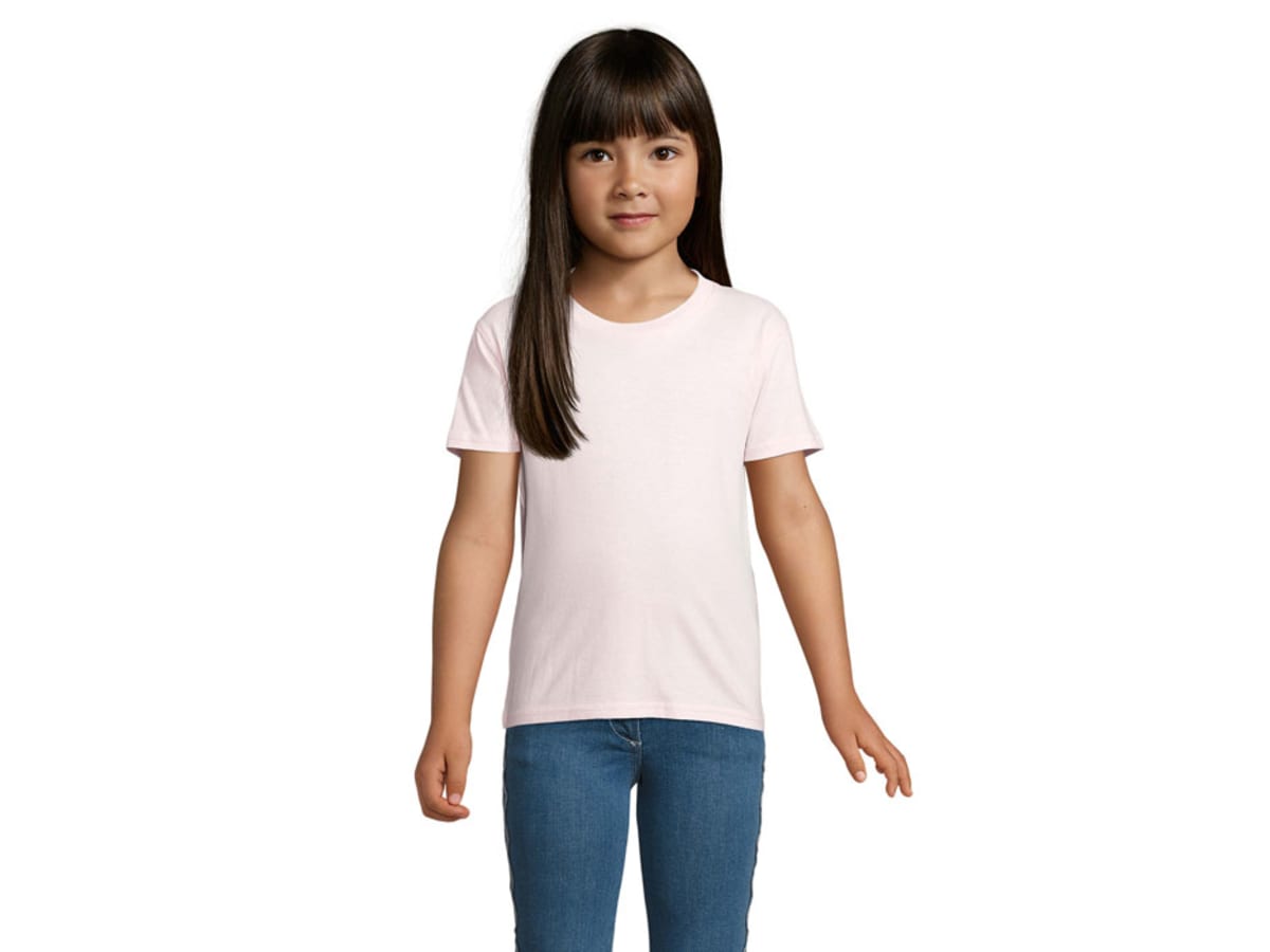 PIONEER BARN T-SHIRTORGANIC