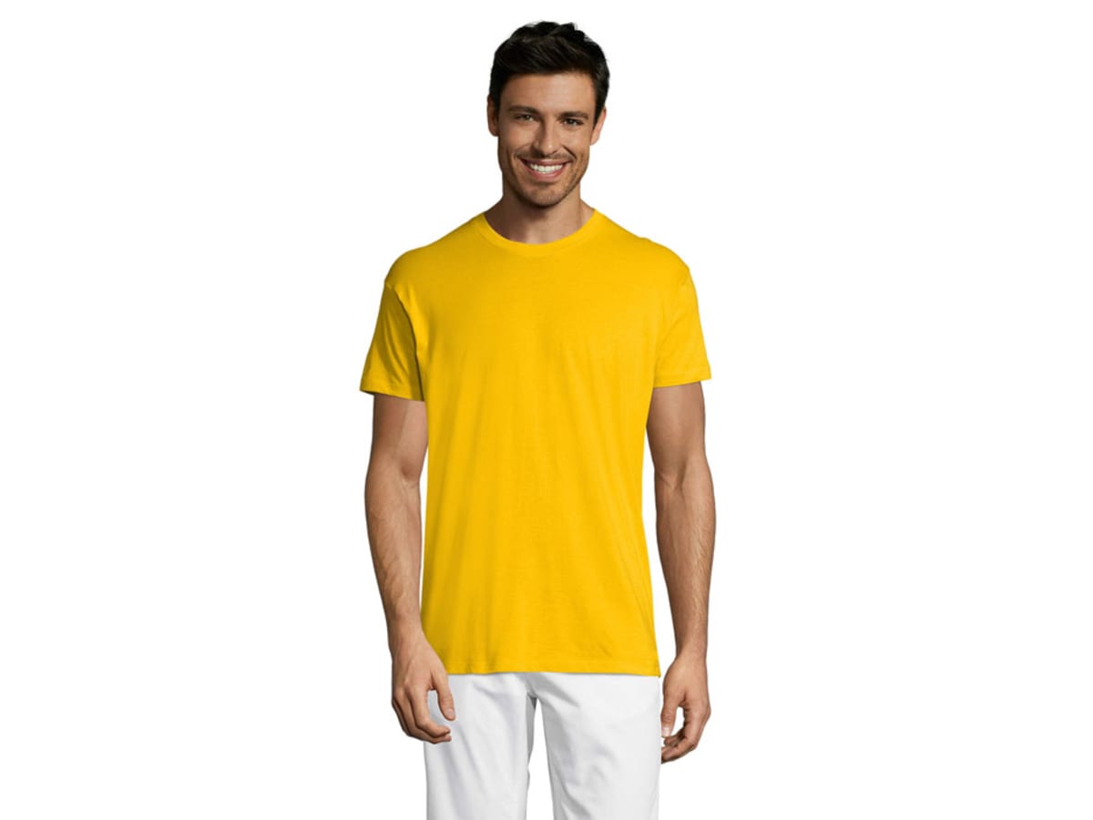 REGENT Uni T-shirt 150g