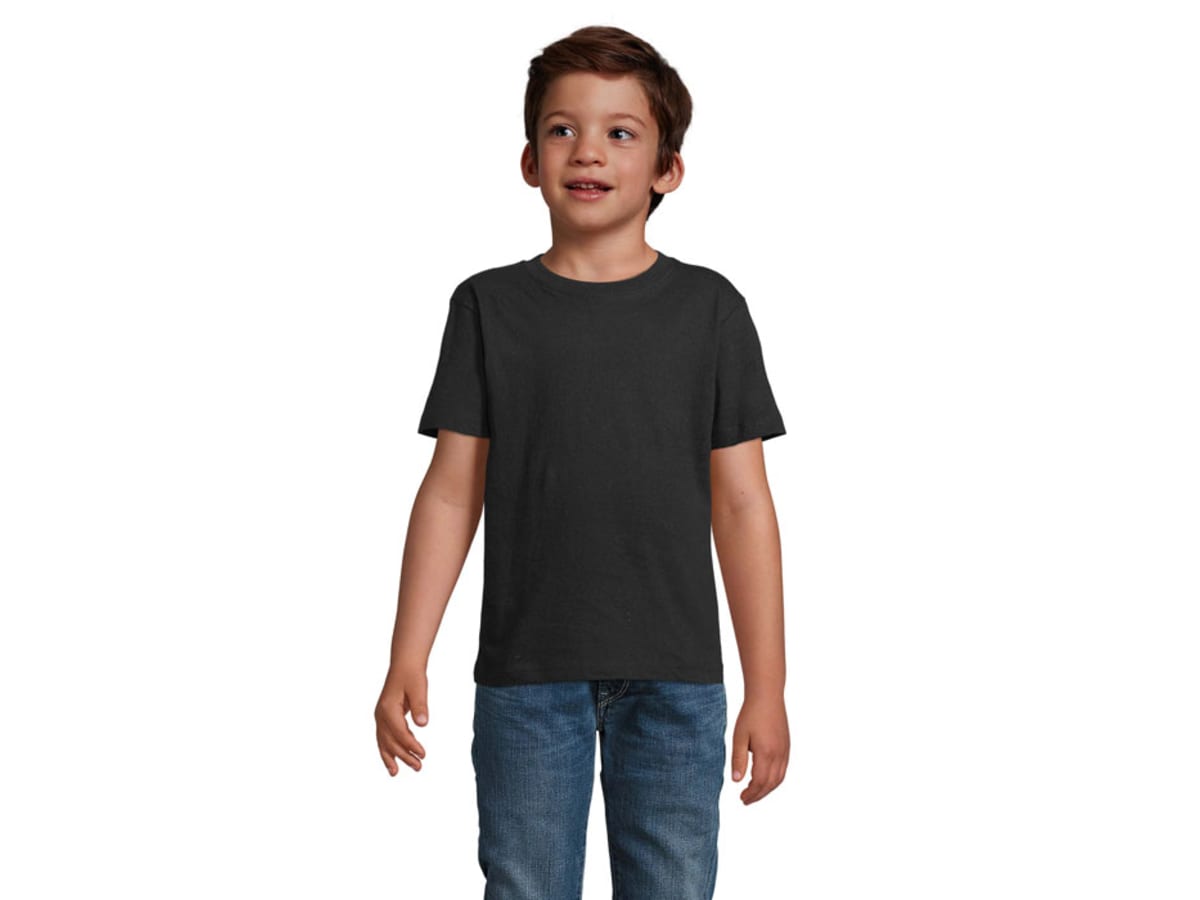 IMPERIAL BARN T-SHIRT 190g