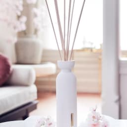 2. Fragrance Sticks