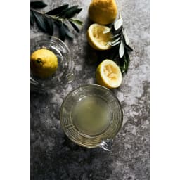 1. Juicer and measuring cup