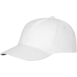 0. Feniks keps 5 panel