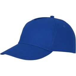 0. Feniks keps 5 panel