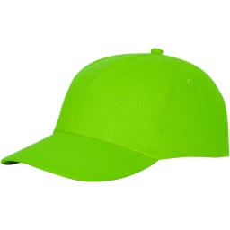 0. Feniks keps 5 panel