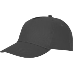 0. Feniks keps 5 panel