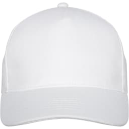 2. Doyle 5-panels keps