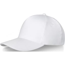 0. Doyle 5-panels keps