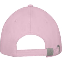 2. Darton 6-panels sandwich keps