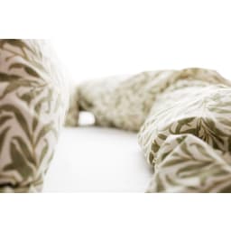 5. Willow bough by William Morris