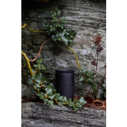 1. Tova bilmugg
