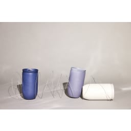 1. Tova bilmugg