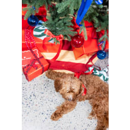 1. Julgransmatta Love