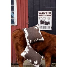 8. Kudde Anima cow M