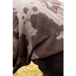4. Filt Anima cow