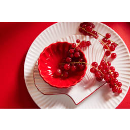 1. Assiett Shell Line S