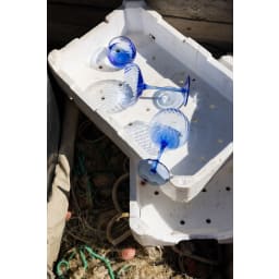 15. Champagnekupa Opacity, 2-pack