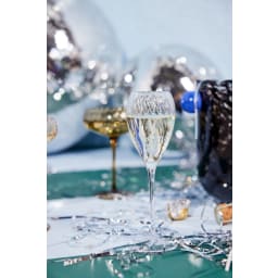 4. Champagneglas Opacity, 2-pack