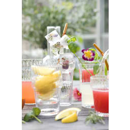 1. High ball glas Opacity, 2-pack