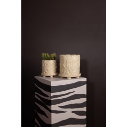 4. Kruka Muddy S