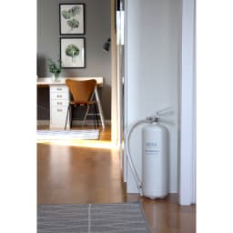 1. Brandsläckare Vit 6kg 43A