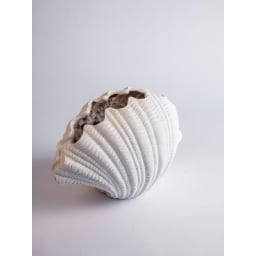 1. Vase Shell 