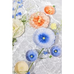 2. Assiett Poppy