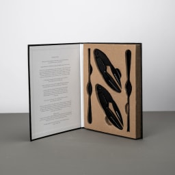 3. Shellfish set Mollusco 