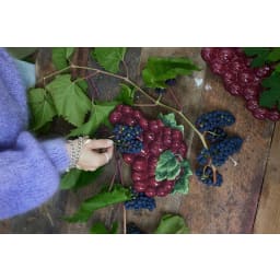 3. Plate Grape