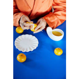 2. Plate Shelley