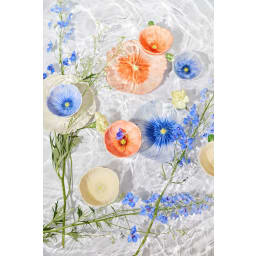 1. Assiett Poppy